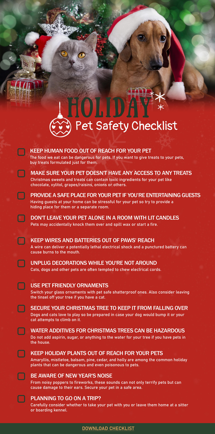 Tips for a safe holiday for you dog