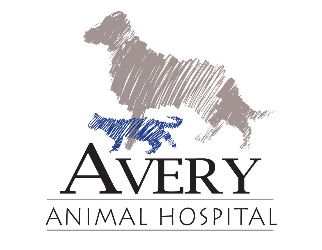 Landing Page Avery Animal Hospital